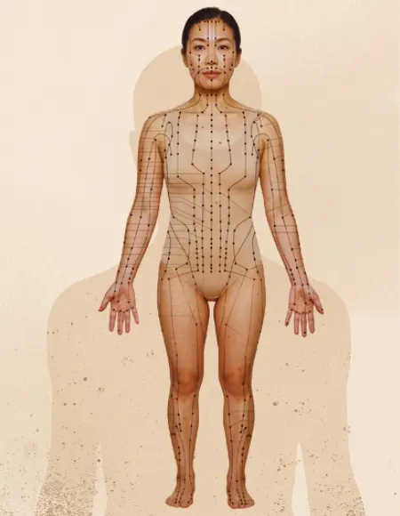 acupuncture meridian