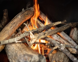 Wood to Fire