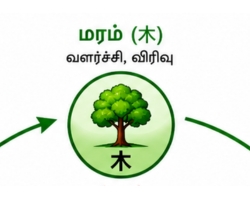 Liver Wood